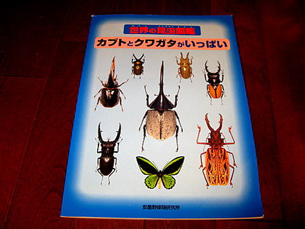 世界の昆虫図鑑