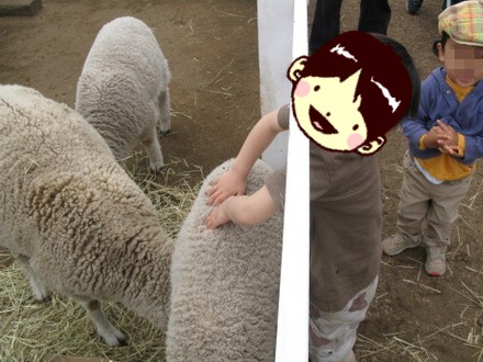 羊を触るレオ