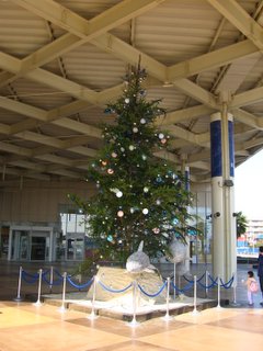 新江ノ島水族館入り口のツリー(昼間)