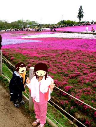 羊山公園の芝桜1