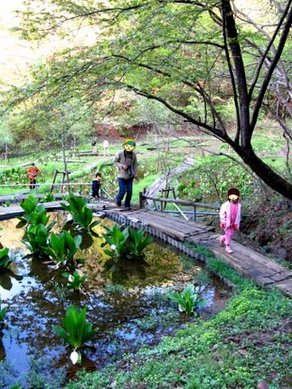 水芭蕉園②